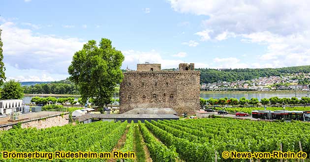 Rheinhotel.com, Hotelfhrer Mittelrhein zwischen Rdesheim und Koblenz am Rhein